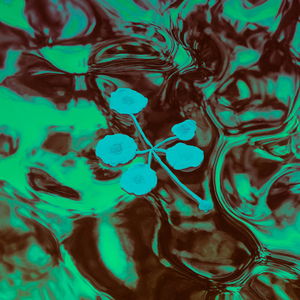 Voodoo-Baroque-Vaporwave-Serialism