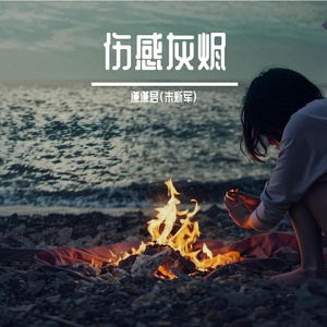 伤感灰烬