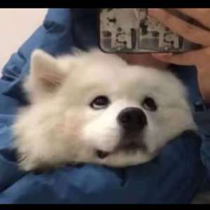 我好像在哪见过你（翻自 抖音）