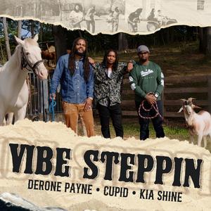 Vibe Steppin (Remix)