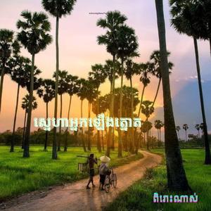 ស្នេហាអ្នកឡើងត្នោត-ជឹម ជឿន & សុធារី