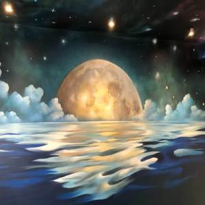 Moonlight