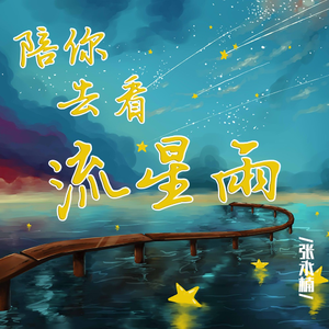 陪你去看流星雨
