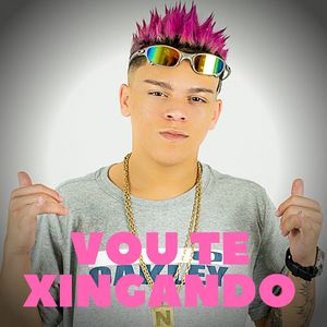 Vou Te Xingando