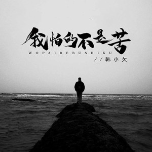 我怕的不是苦 (DJ版)