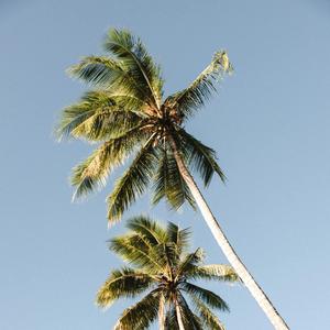 regionacious