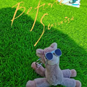 像风一样(cover：单依纯)