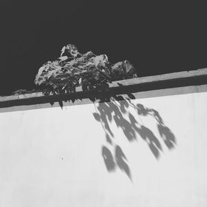 突然的自我（Cover 伍佰）