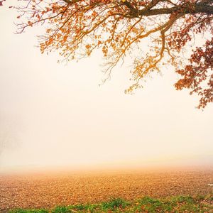 一切化作一阵风 伴奏