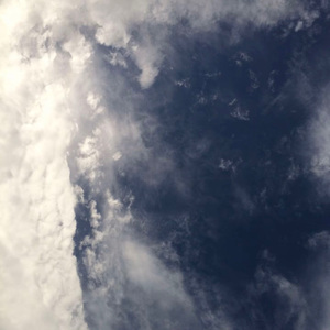 亲爱的维多利亚