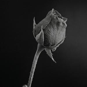 Worry