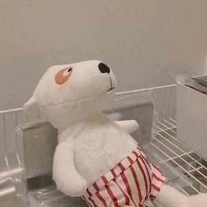 歪果仁系列