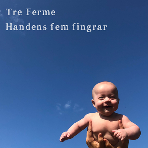 Handens fem fingrar