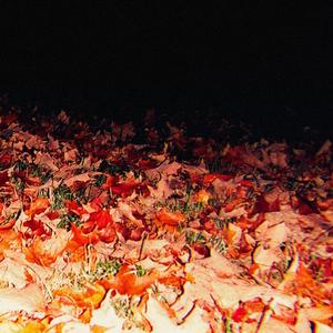 jumping in the midnight leaf pile