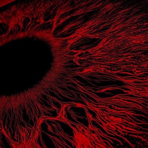 Relax and take notes