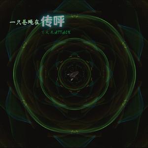 一只苍蝇在传呼