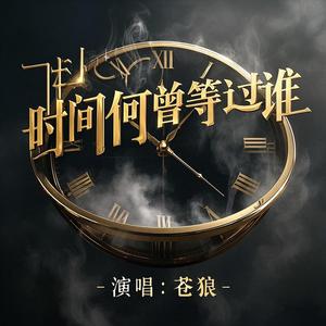 时间何曾等过谁