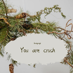 you are crush