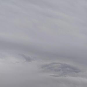 Science (feat. squirl beats)