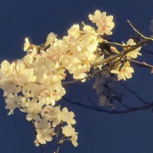 离别是人生常态