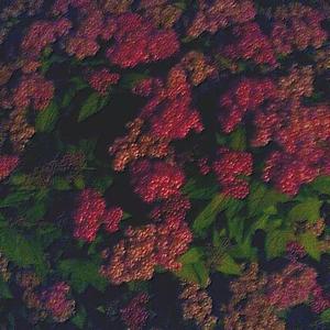 悸动的心跳(prod by Fifty-Fifty)