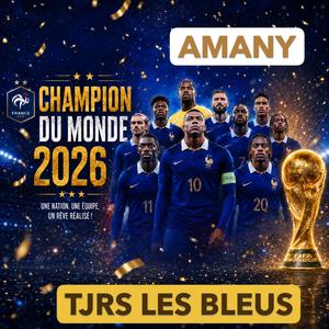 TJRS LES BLEU