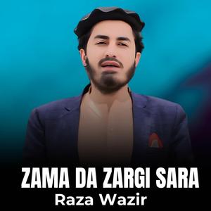 Zama Da Zargi Sara