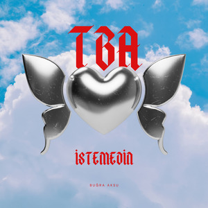 İSTEMEDİN