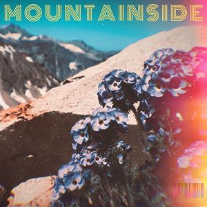 Mountainside