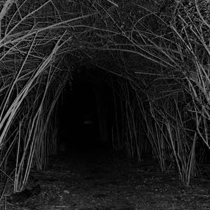 Let Me Dream (Forever)