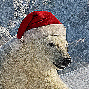 싸발적인 크리스마스