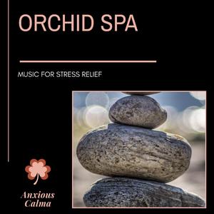 Concentrating On Third Eye