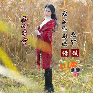 爱上你难道是个错误 (DJ版)