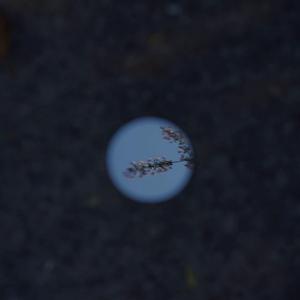 好像掉进爱情海里