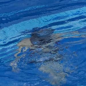 伦敦德里小调(亲爱的人)