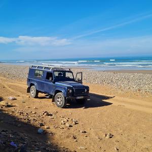 Now or Never (feat. Lizzie Holyoak, Sarah Laughton, Elizabeth Marsh, Jon Webb & Michael Fitzgerald)