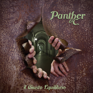 L'occhio del gabbiano