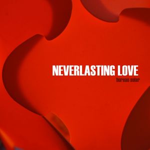 Neverlasting Love