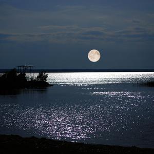 浪潮（Original Mix）