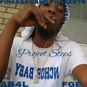 Project Steps