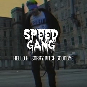 Hello Hi, Sorry ***** Goodbye