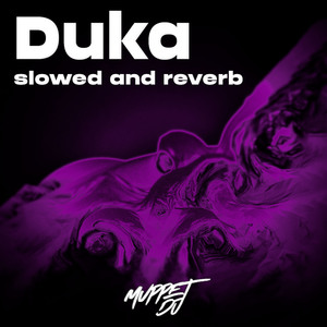 Duka (slowed and reverb) (Remix)