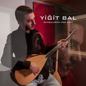 Bahçalarda Mor Meni (Gaziantep Yolunda)