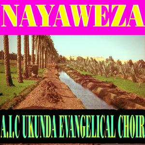 Nayaweza
