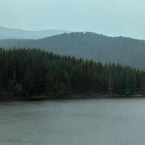 Podeszwa