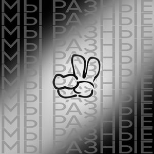 МЫ РАЗНЫЕ