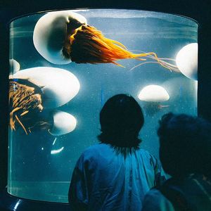 停止流浪 (Stop Wandering)