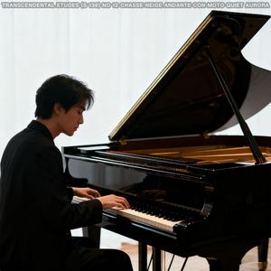 Transcendental Etudes (No 8 Wilde Jagd Presto Furioso Faint Comet) [S 139]