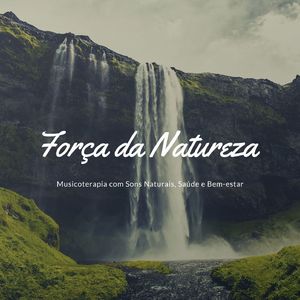 Remédios Naturais