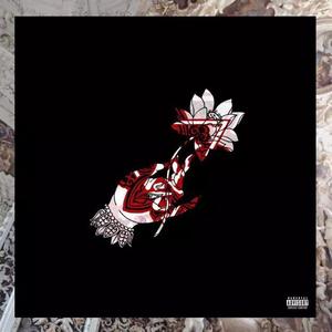 最后是我开了口